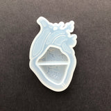 Anatomical Heart Shaker Silicone Mold For Resin